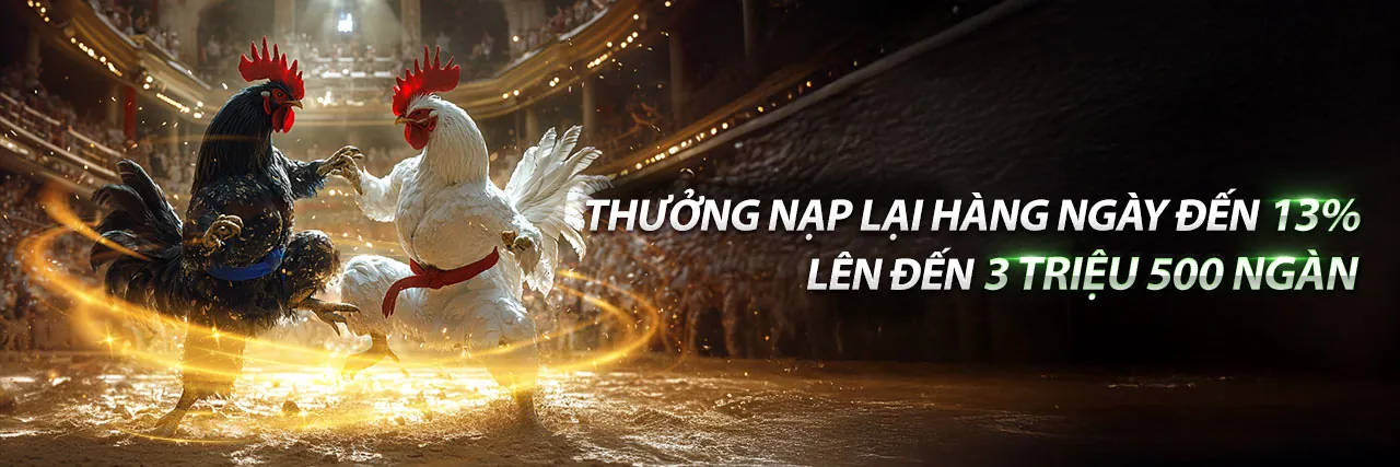Đá gà trực tuyến vn100